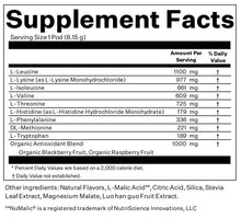 Load image into Gallery viewer, Blueshift Nutrition - Essential Aminos: Blackberry Lemon / 14 pack