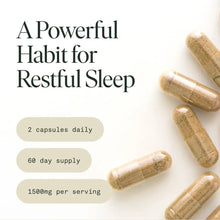 Load image into Gallery viewer, Fantastic Fungi - Organic Sleep Capsules for Restorative Calm & Deep Sleep: 120 CT