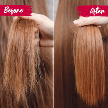 Load image into Gallery viewer, Viori Beauty - Bundle | Shampoo Bar & Conditioner Bar | Haircare Duo: Hidden Waterfall