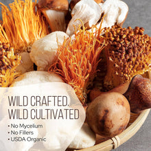 Load image into Gallery viewer, La Republica Coffee - La Republica Black Tea with 7 Mushrooms (Instant)