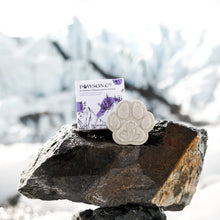 Load image into Gallery viewer, Viori Beauty - Pet Shampoo Bar | Pawson & Co | Lavender & Jasmine