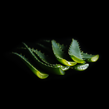 Load image into Gallery viewer, Viori Beauty - Rice Water Body Wash Soap Bar | Serenity™