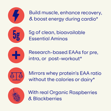 Load image into Gallery viewer, Blueshift Nutrition - Essential Aminos: Blackberry Lemon / 14 pack