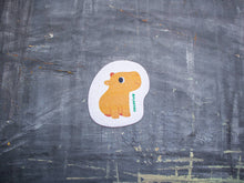 Load image into Gallery viewer, Plantish - Set of 3 Wet and Wild Pop up Sponges