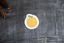 Load image into Gallery viewer, Plantish - Orange - Pop-up Sponge