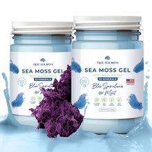 Load image into Gallery viewer, TrueSeaMoss - BLUE SPIRULINA SEA MOSS GEL: 1 Pack