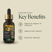 Load image into Gallery viewer, Fantastic Fungi - Organic Gratitude Elixir for Mood Support & Longevity: FF-GRAT-ELIXIR-1
