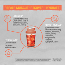 Load image into Gallery viewer, Sunwarrior - Mango Active Amino Powder Drink Mix - BCAA & EAA