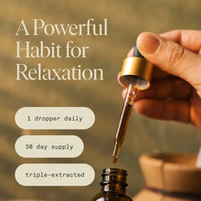Load image into Gallery viewer, Fantastic Fungi - Organic Chill Elixir for Calm &amp; Nervous System Support: New Packaging
