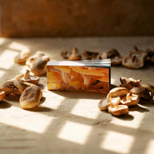 Load image into Gallery viewer, Fantastic Fungi - Fungi Flip Book
