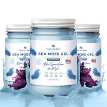 Load image into Gallery viewer, TrueSeaMoss - BLUE SPIRULINA SEA MOSS GEL: 1 Pack
