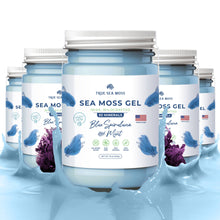 Load image into Gallery viewer, TrueSeaMoss - BLUE SPIRULINA SEA MOSS GEL: 1 Pack
