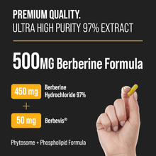 Load image into Gallery viewer, NutraChamps - Berberine
