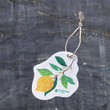 Load image into Gallery viewer, Plantish - Lemon Grove - Pop Up Sponge
