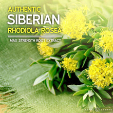 Load image into Gallery viewer, NutraChamps - Rhodiola Rosea
