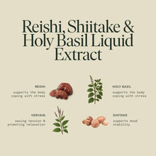 Load image into Gallery viewer, Fantastic Fungi - Organic Chill Elixir for Calm &amp; Nervous System Support: New Packaging

