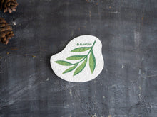 Load image into Gallery viewer, Plantish - Eucalyptus - Pop up Sponge
