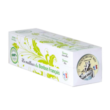 Load image into Gallery viewer, Bonbon USA France - Saint Ange Organic Fresh Mint - French Gourmet Candy Tin
