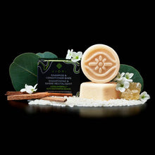 Load image into Gallery viewer, Viori Beauty - Shampoo &amp; Conditioner Bars | Travel Size | Hidden Waterfall™: Hidden Waterfall
