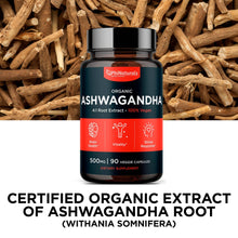 Load image into Gallery viewer, Excel Nutritionals LLC DBA Phi Naturals - Ashwagandha Organic Herbal Supplement: 1-Pack
