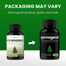 Load image into Gallery viewer, NutraChamps - Pycnogenol French Maritime Pine Bark Extract | Blood Flow
