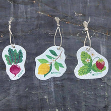 Load image into Gallery viewer, Plantish - Lemon Grove - Pop Up Sponge
