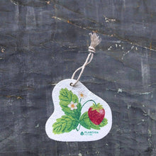 Load image into Gallery viewer, Plantish - Set of 3 Farm to Kitchen Pop Up Sponges
