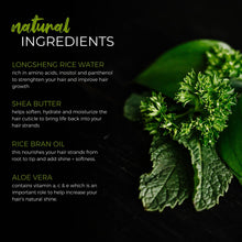 Load image into Gallery viewer, Viori Beauty - Rice Water Shampoo Bar | Tea Tree Mint EO | All Hair
