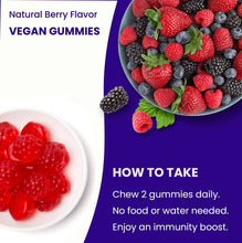 Load image into Gallery viewer, NutraChamps - Elderberry Gummies - Immunity Protection
