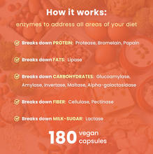 Load image into Gallery viewer, NutraChamps - Digestive Enzymes - Aid Digestion &amp; Gut Health: 90 Count
