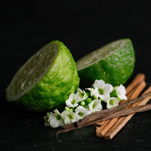 Load image into Gallery viewer, Viori Beauty - Limited Edition | Shampoo Bar | Emerald Meadows
