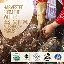 Load image into Gallery viewer, La Republica Coffee - La Republica USDA Organic Mushroom Coffee 10-Pack: 10-Pack Single Serve Box
