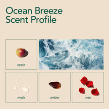 Load image into Gallery viewer, Kind Laundry - Zero Waste Laundry Detergent Sheets (Ocean Breeze)
