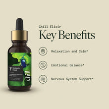 Load image into Gallery viewer, Fantastic Fungi - Organic Chill Elixir for Calm &amp; Nervous System Support: New Packaging
