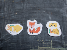 Load image into Gallery viewer, Plantish - Set of 3 Barks and Roars Pop up Sponges
