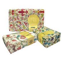 Load image into Gallery viewer, Honey House Naturals - Florentine Paper Wrapped Soap - 3.5 oz: Citrus
