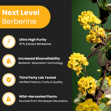 Load image into Gallery viewer, NutraChamps - Berberine
