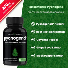 Load image into Gallery viewer, NutraChamps - Pycnogenol French Maritime Pine Bark Extract | Blood Flow
