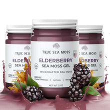 Load image into Gallery viewer, TrueSeaMoss - ELDERBERRY SEA MOSS GEL: 1 Pack
