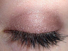 Load image into Gallery viewer, Orglamix - Taupe Eyeshadow | Silky Vegan Mineral Eye Shade: Cream
