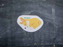 Load image into Gallery viewer, Plantish - Set of 3 Barks and Roars Pop up Sponges
