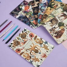 Load image into Gallery viewer, BV by Bruno Visconti - Medival Fantasy Notebook
