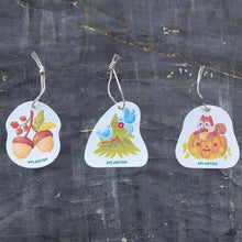 Load image into Gallery viewer, Plantish - Set of 3 Enchanted Forest Pop up Sponges
