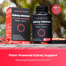 Load image into Gallery viewer, NutraChamps - Kidney Cleanse
