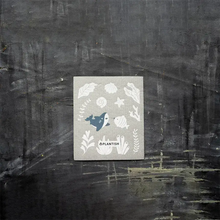 Load image into Gallery viewer, Plantish - Cloudy Melody - Set of 3 Swedish Sponge Cloth Set
