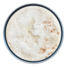 Load image into Gallery viewer, Orglamix - Soap | Spa Products - Instant Facial Home | Custom Logo : Rosemary Mint
