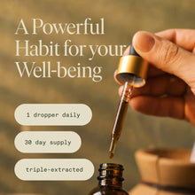 Load image into Gallery viewer, Fantastic Fungi - Organic Gratitude Elixir for Mood Support &amp; Longevity: FF-GRAT-ELIXIR-1
