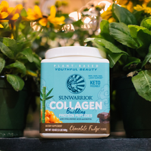 Load image into Gallery viewer, Sunwarrior - Chocolate Fudge Collagen Drink Powder - Vegan, Plant-Based
