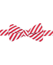 Load image into Gallery viewer, Countess Mara Men's Adjustable Red &amp; White Stripe Bow Tie, One Size
