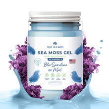 Load image into Gallery viewer, TrueSeaMoss - BLUE SPIRULINA SEA MOSS GEL: 1 Pack
